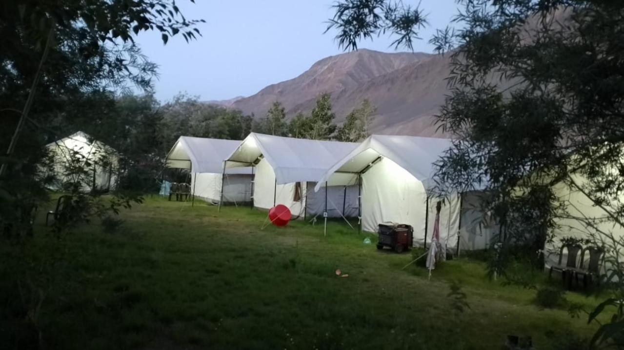 Padmaling Guest House Zanskar Eco Camp Padam Eksteriør billede